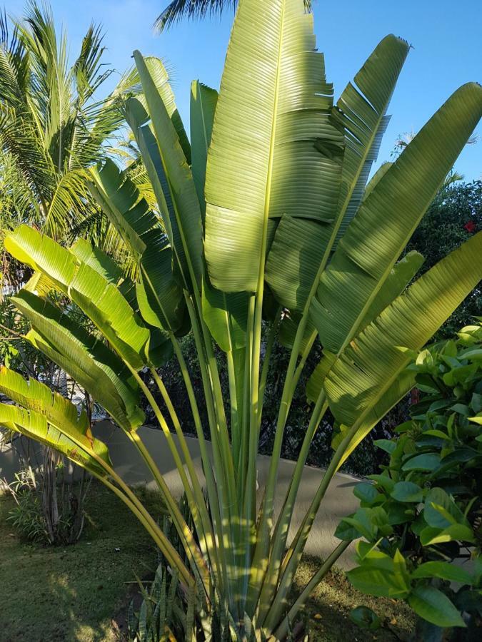 Casa Dentro De Porto De Galinhas. 04Suites.01Quarto. Екстериор снимка